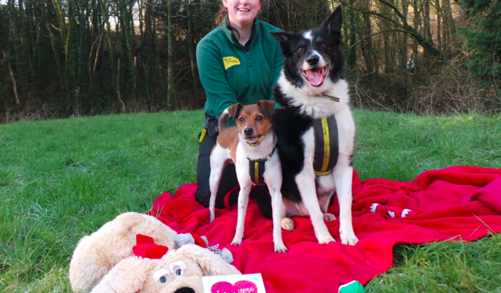 It's ‘muttley’ love for devoted doggy duo The Devon Daily